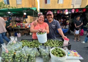 Avanza credencialización de comerciantes en vía pública en Cancún; suman 2,500 entregadas