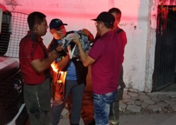 Rescatan a flamingo que fue apedreado en Cancún
