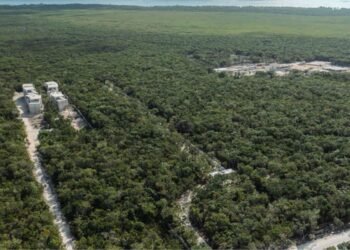 Foto:bienesraicesquintanaroo