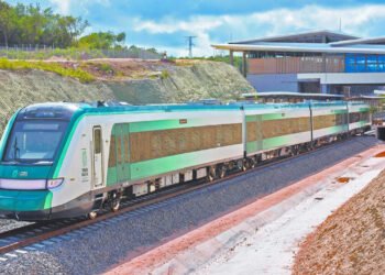 TREN MAYA: Autorizan desmonte de 261 hectáreas de selva para la Terminal Multimodal Cancún