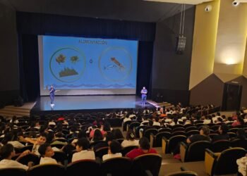 CONSERVACIÓN MARINA: Celebran en QR el Día Internacional del Manatí