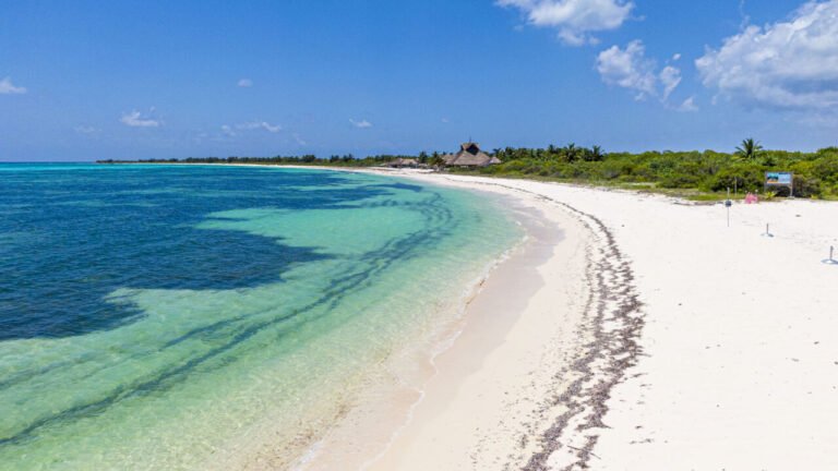 Así lucirán las playas de Quintana Roo en 50 años: Impacto de la IA