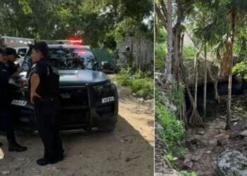 PLAYA DEL CARMEN: Hallan cuerpo de un hombre en cenote