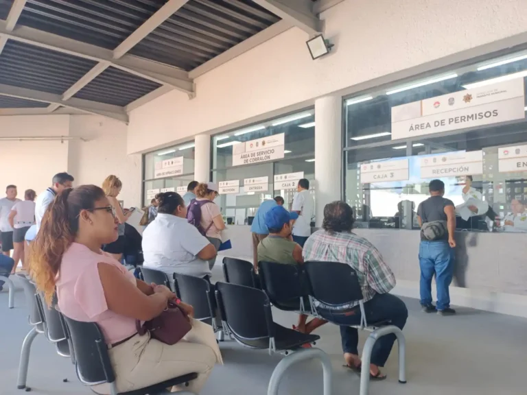 Caída del sistema en Tránsito de Cancún suspende servicio