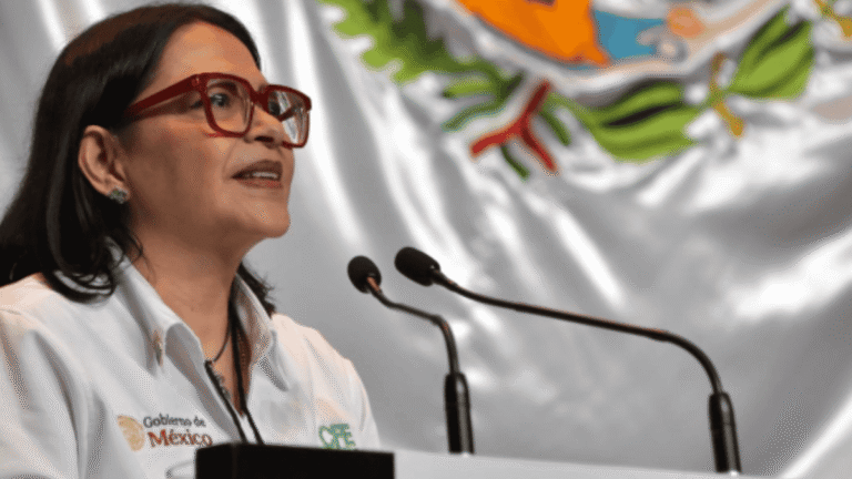 Capacidad CFE: ¿está lista la empresa para maniobrar con protocolos de alta seguridad?