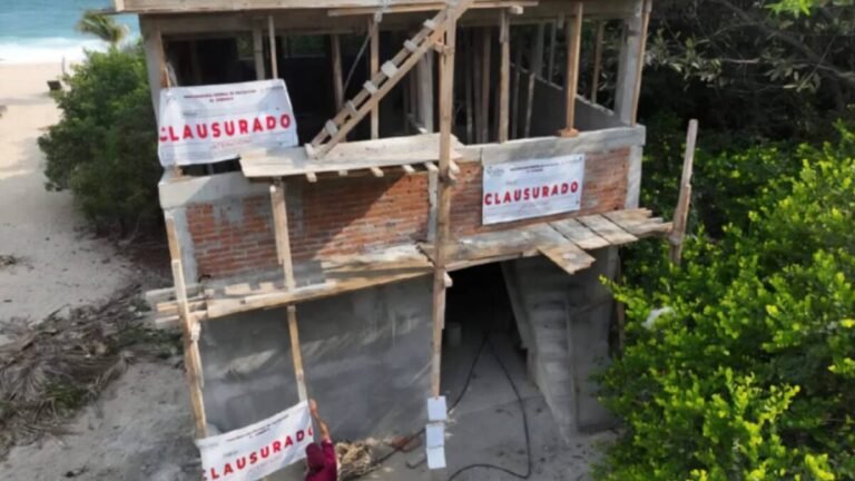 Construcciones ilegales en ANP: Conanp reporta más de 25 denuncias