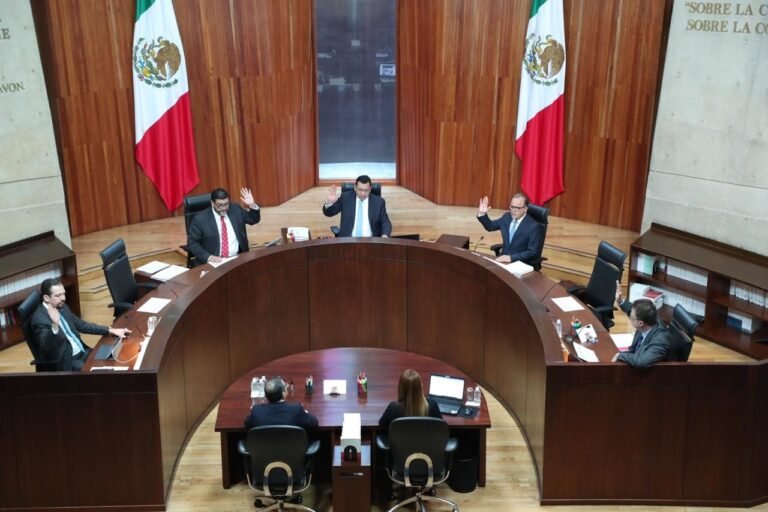 El TEPJF analizará el polémico procedimiento del OIC contra consejeros del INE