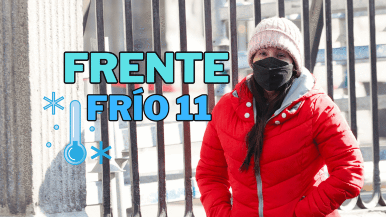 Frente frío número 11: La advertencia del SMN sobre las heladas de hasta -5 grados