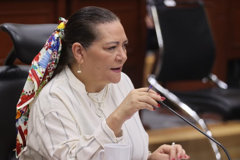 INE abierto al cambio: Taddei plantea debate clave sobre costo democrático