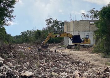 DEVASTAN SELVA: Denuncian otra invasión de predios en Playa del Carmen