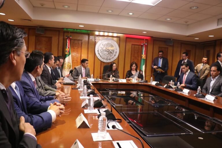 La persecución del órgano interno de control amenaza la autonomía del INE