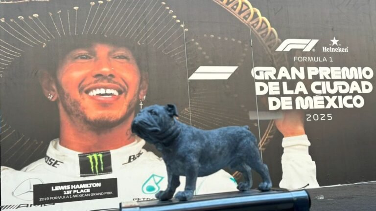 Lewis Hamilton GP de México: El emotivo homenaje a Roscoe y la búsqueda de rendimiento
