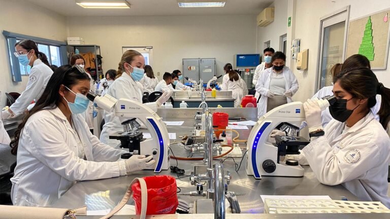 Mujeres en STEM en México: El desafío de la brecha y políticas urgentes