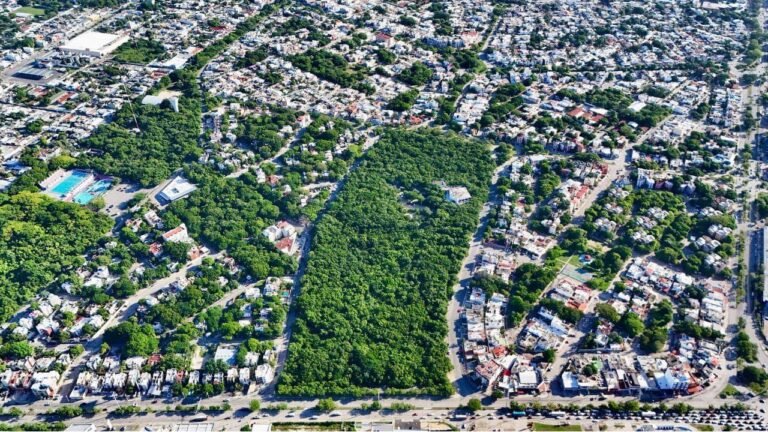 Ombligo Verde Cancún: Exigen plan de manejo ante riesgos