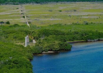 PUERTA AL MAR: Advierte diputada morenista que Sedena administrará nuevo acceso turístico en la Zona Maya