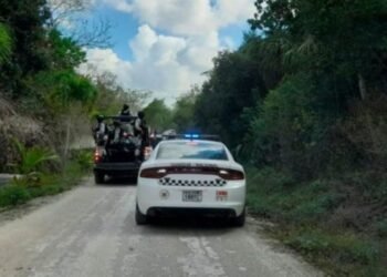 Incautan droga, armas y equipo táctico en cateo a rancho en Subteniente López