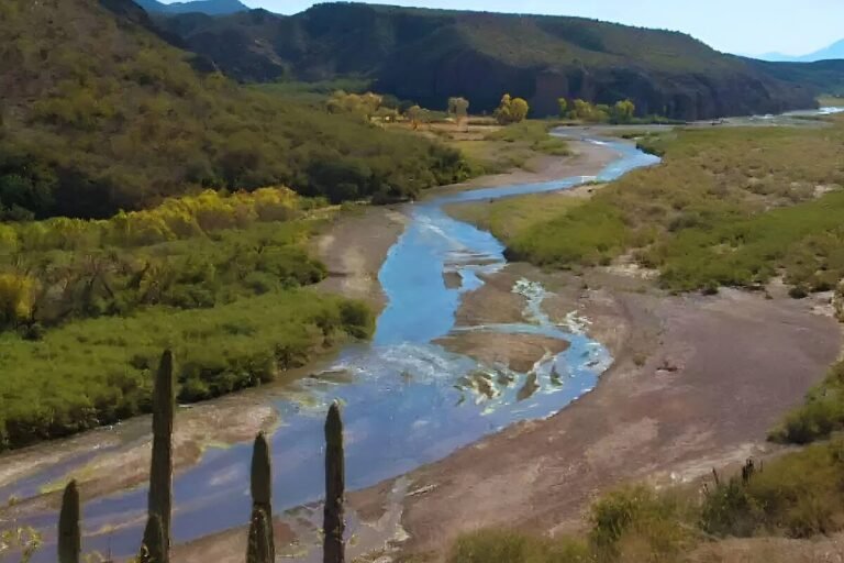 Recuperación hídrica en Sonora: impulso clave para el agro y la economía regional