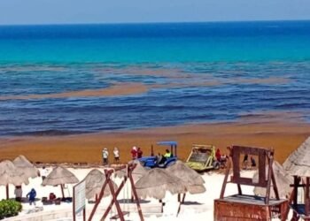 «TEMPORADA» DE SARGAZO: Cierra 2025 con más del doble de recolección respecto al año anterior