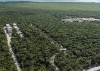 CRISIS EN TULUM: Sobreoferta inmobiliaria y turística, otro de sus males