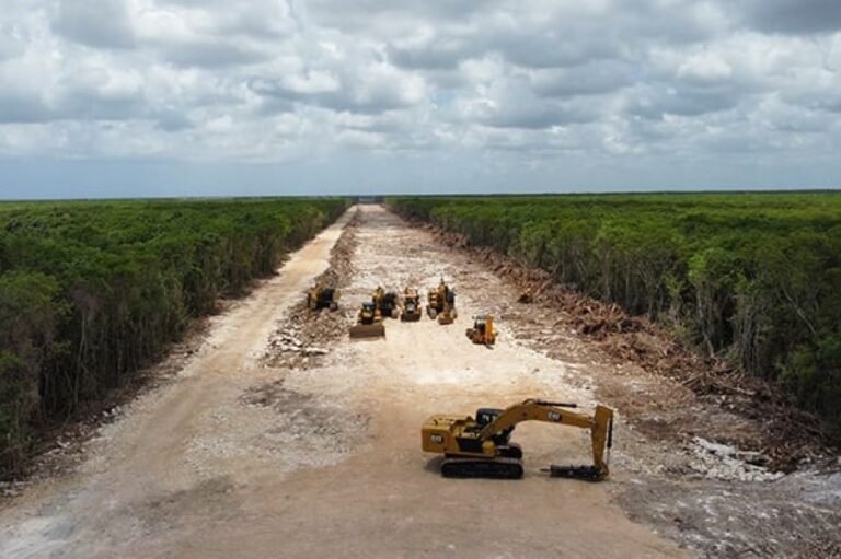 Fotografía: Greenpeace.