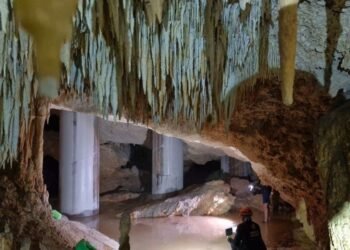 TREN MAYA: Reconoce Semarnat daños a cavernas y cenotes