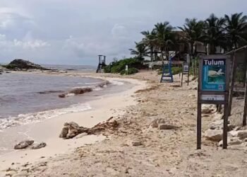 TULUM: Niega Sedetur crisis y atribuye baja a temporada de otoño