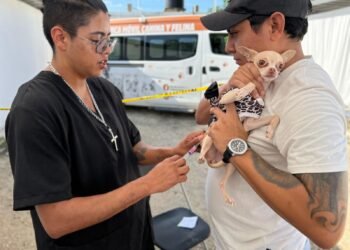 BIENESTAR ANIMAL: Supera Cancún las 2 mil vacunas aplicadas en campaña antirrábica