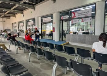 Suspenden emisión de licencias por falla en el sistema de Tránsito de Cancún
