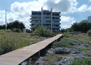 CLAUSURA AMBIENTAL: Detienen construcción ilegal de muelle en la Costera Sur de Cozumel