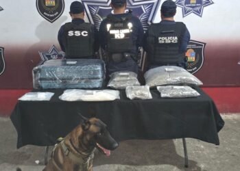 Localizan maleta con droga en la terminal de ADO en Cancún