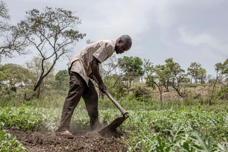 ©FAO/Arete/Patrick Meinhardt