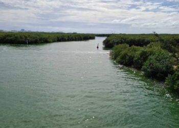 LAGUNA NICHUPTÉ: Convocan a jornada de limpieza