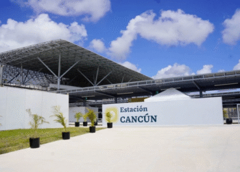 DESTRUCCIÓN DE SELVA: Nuevos jueces de la 4T rechazan amparo contra obras del Tren Maya en Cancún