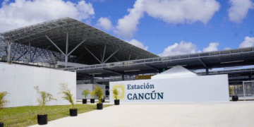 DESTRUCCIÓN DE SELVA: Nuevos jueces de la 4T rechazan amparo contra obras del Tren Maya en Cancún