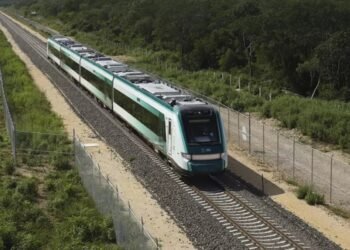 TREN MAYA: Expropian más de 23 mil metros cuadrados en Quintana Roo
