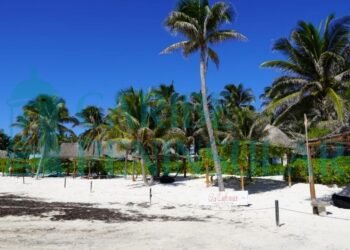 MODELO AGOTADO: Advierte Román Meyer Falcón que la crisis de Tulum es consecuencia de un desarrollo sin control