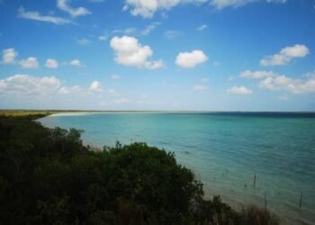 Proyecto hotelero avanza en Sian Ka’an; organizaciones exigen revocarlo