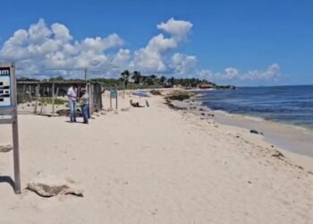 El costo de la arena en Quintana Roo: ¿Realmente es libre el acceso a playas Tulum gratis?
