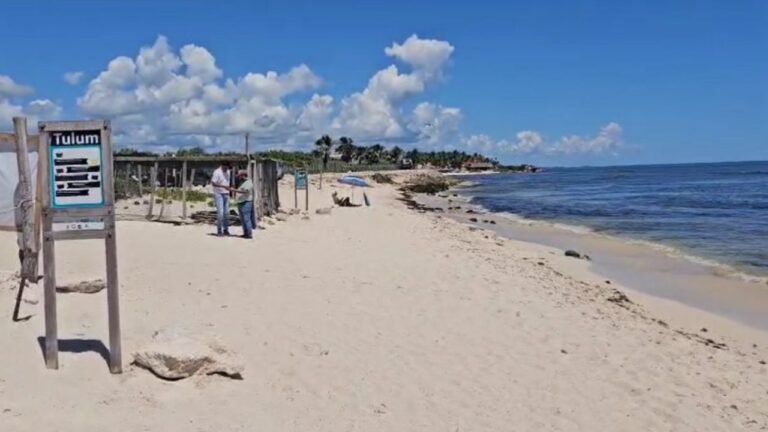El costo de la arena en Quintana Roo: ¿Realmente es libre el acceso a playas Tulum gratis?