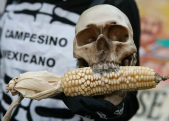 La bodega del Bienestar: ¿Por qué precios de garantía es el programa menos eficiente?