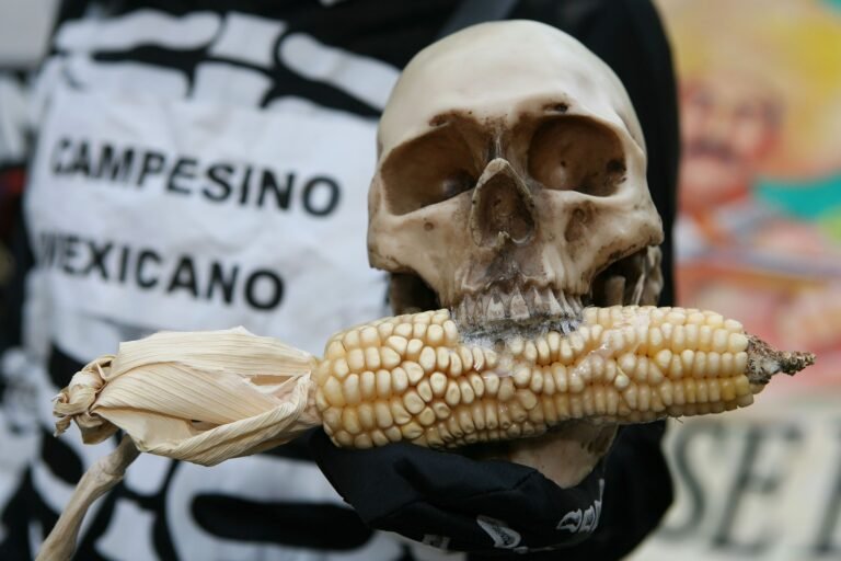 La bodega del Bienestar: ¿Por qué precios de garantía es el programa menos eficiente?