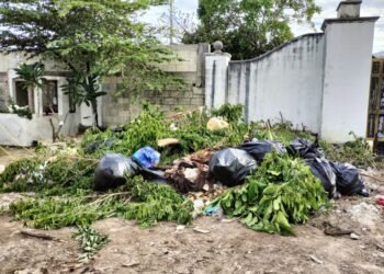 Reclaman abandono y escasez de servicios en el panteón Los Olivos