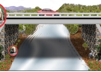 Presentan Manifestación de Impacto Ambiental para libramiento de Tulum