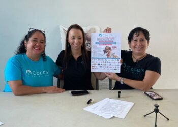 CAMPAÑA GRATUITA: Promueven mil esterilizaciones de perros y gatos en Playa del Carmen