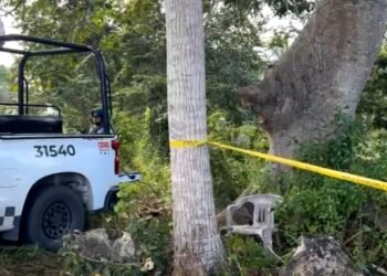 OPERATIVO EN LEONA VICARIO: Investigan posible hallazgo de narcofosas en rancho “Sac-Lol”