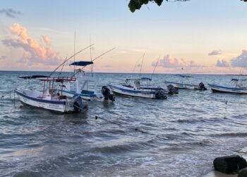 Reportan cooperativas bajo nivel de operaciones tras puente de Día de Muertos