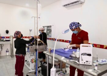 Realizan jornada de esterilización en el Centro de Bienestar Animal