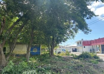 Hallan trabajadores municipales cuerpo en una bodega abandonada en Chetumal