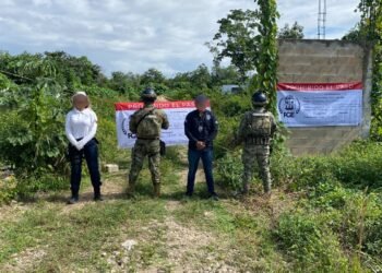 DAÑO AMBIENTAL: Aseguran predio de 30 mil m² desmontado ilegalmente en Alfredo V. Bonfil (VIDEO)