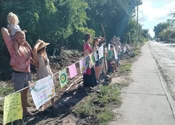 XCALACOCO: Denuncian a Bepensa por desmontar selva para ampliar barda perimetral